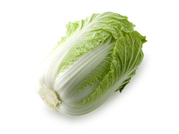 白菜